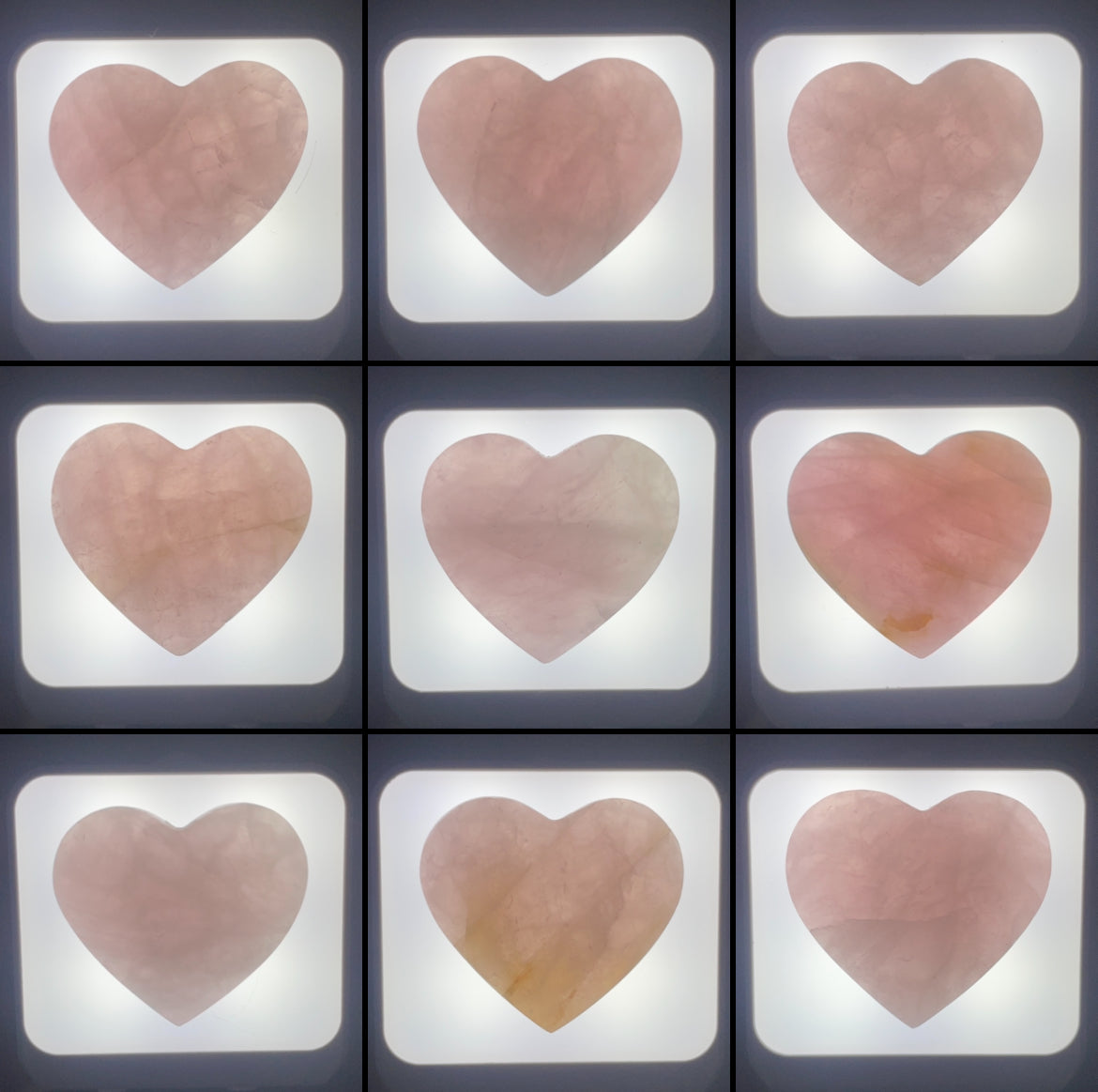 WHOLESALE: Night-Lights: 10 pack
