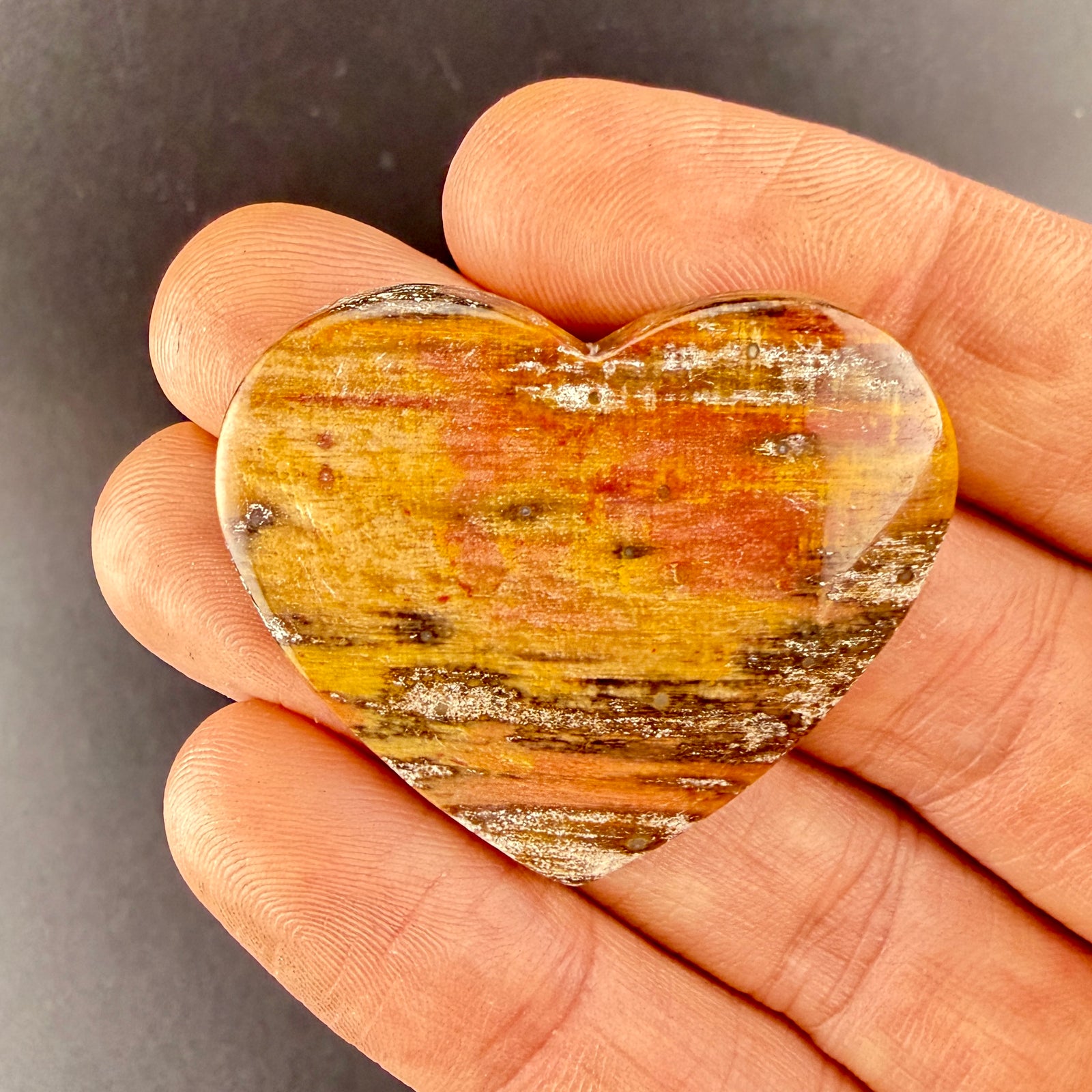 10 Petrified Wood (Seconds)