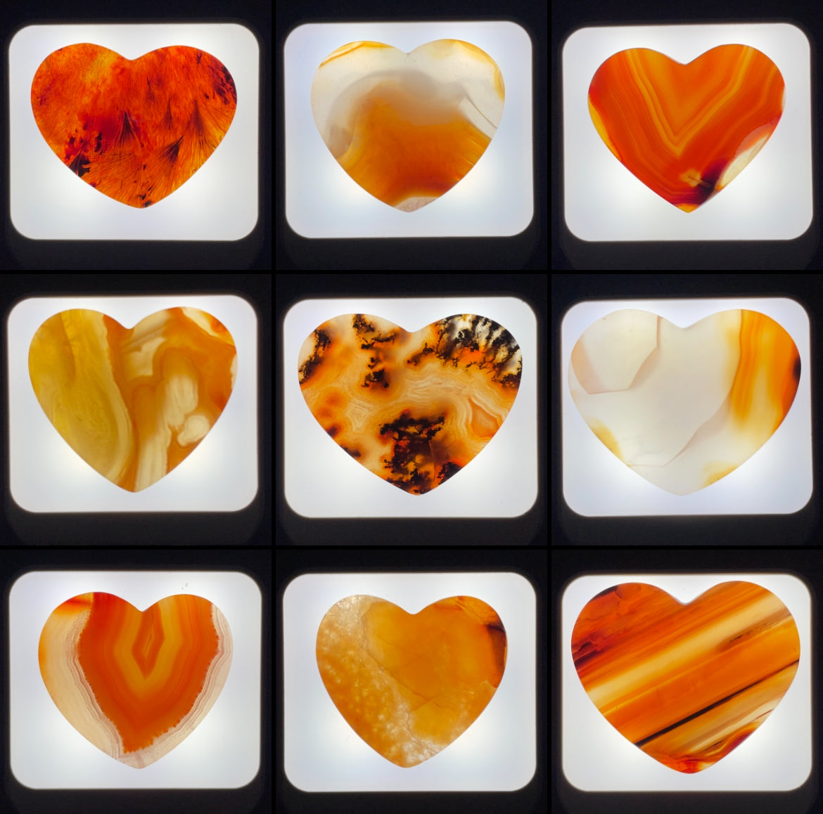 WHOLESALE: Night-Lights: 10 pack