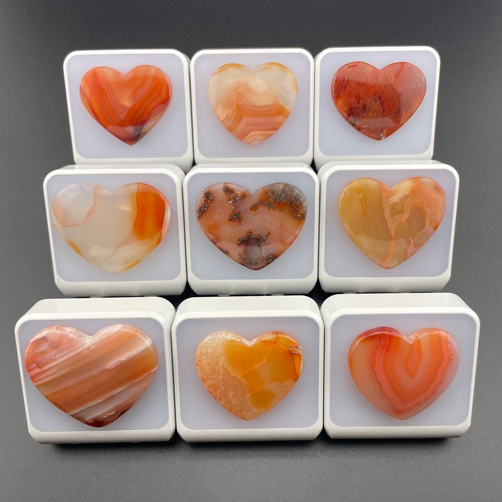 WHOLESALE: Night-Lights: 10 pack