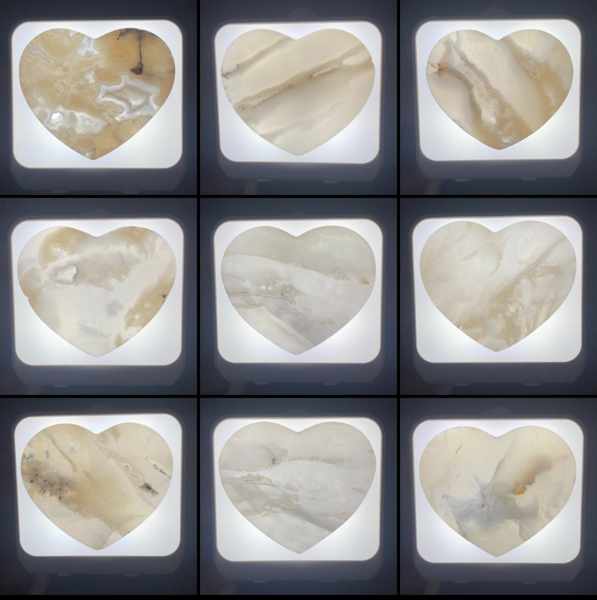 WHOLESALE: Night-Lights: 10 pack