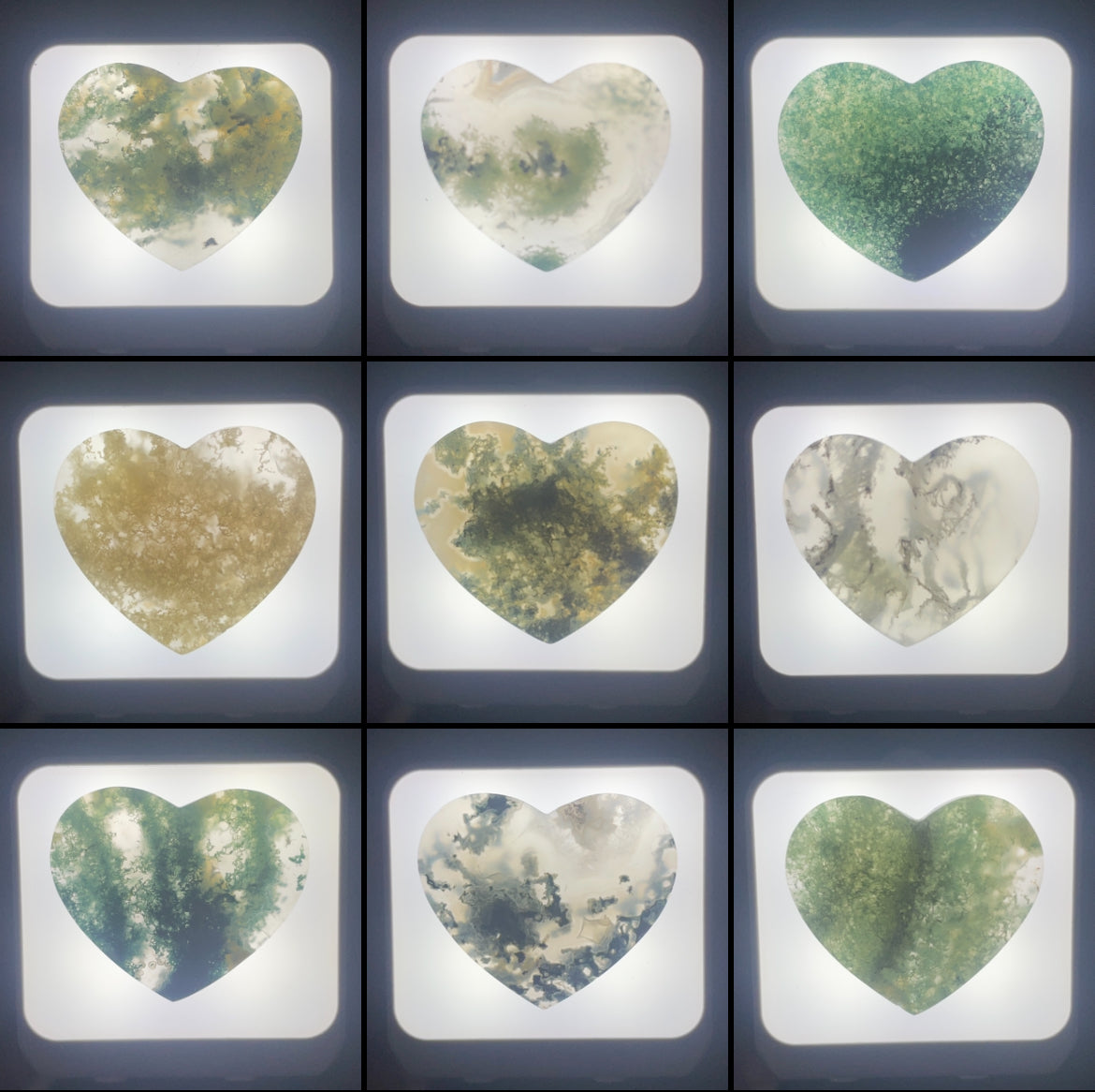 WHOLESALE: Night-Lights: 10 pack