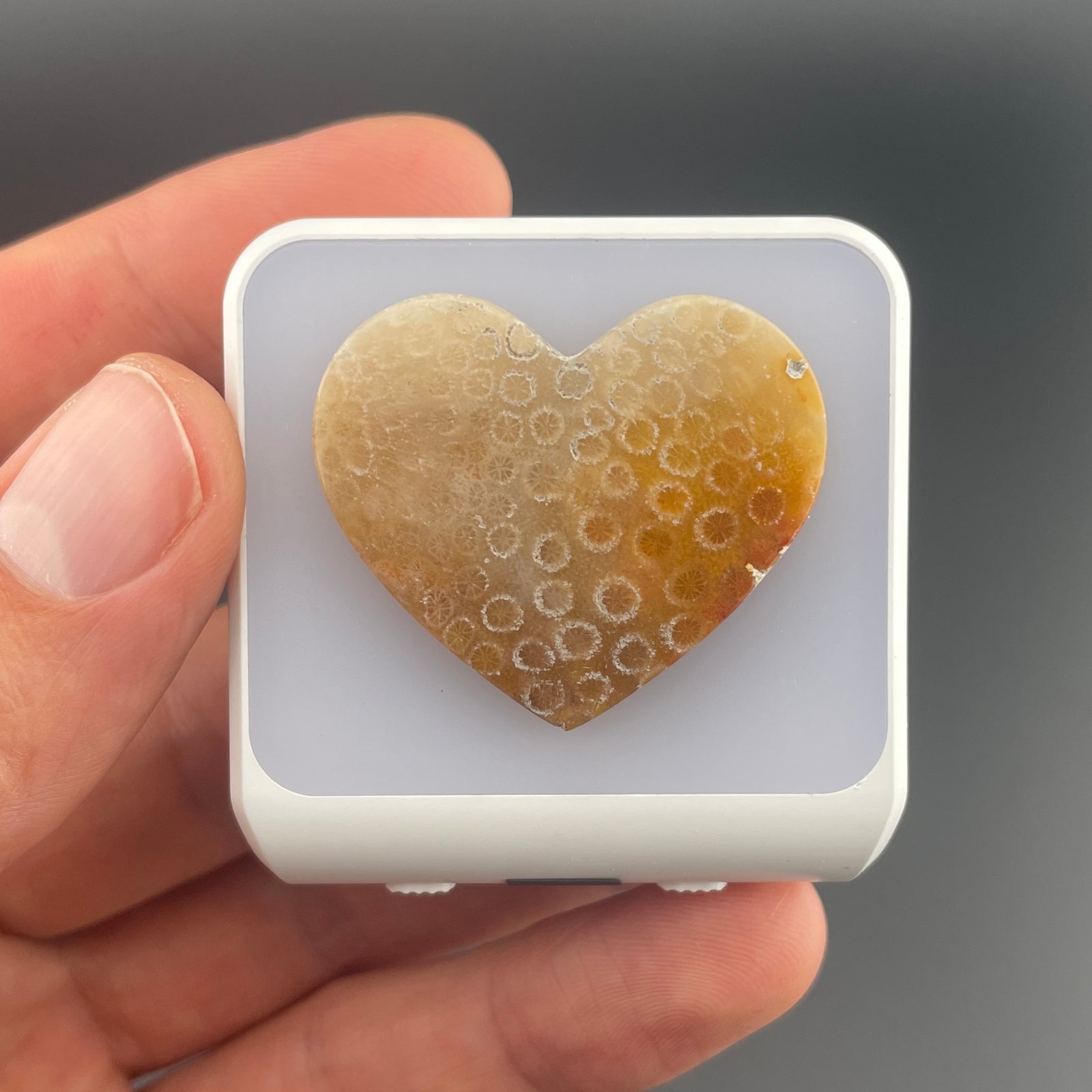 Heart Rock Plug-in Night-light