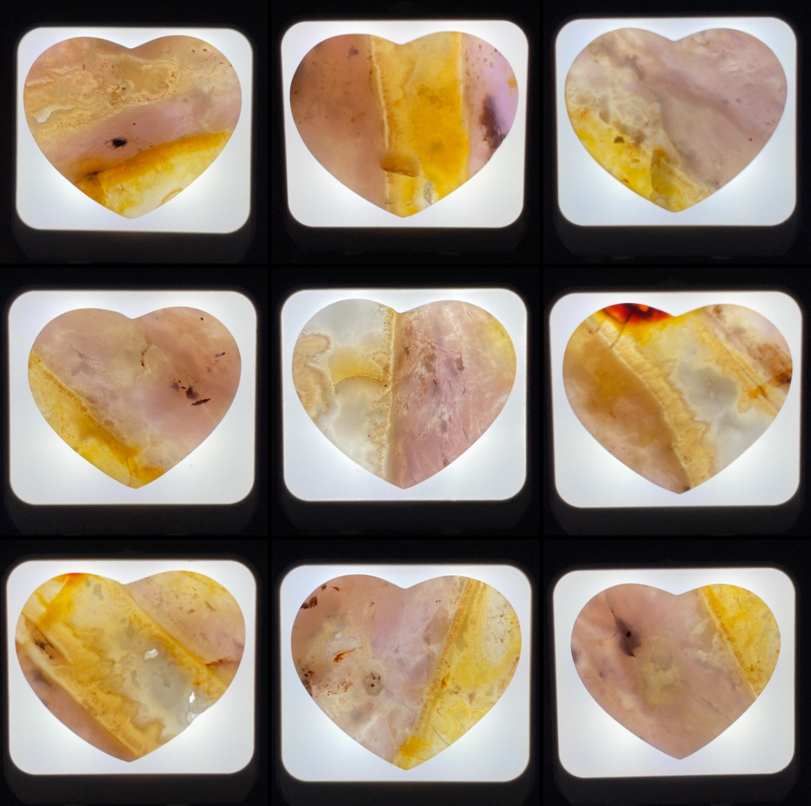 WHOLESALE: Night-Lights: 10 pack