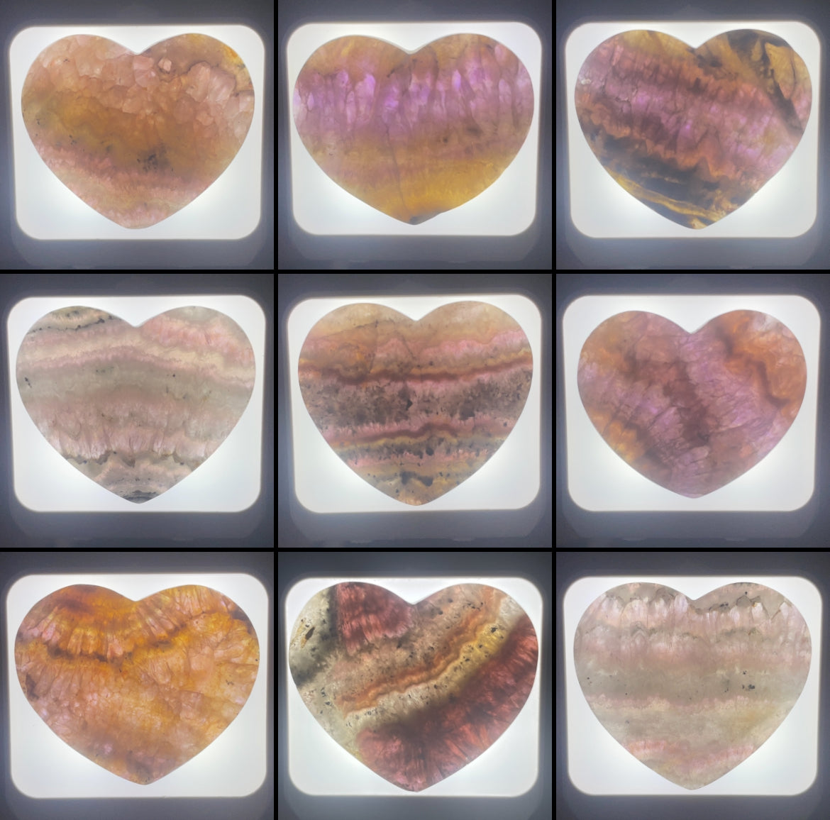 WHOLESALE: Night-Lights: 10 pack