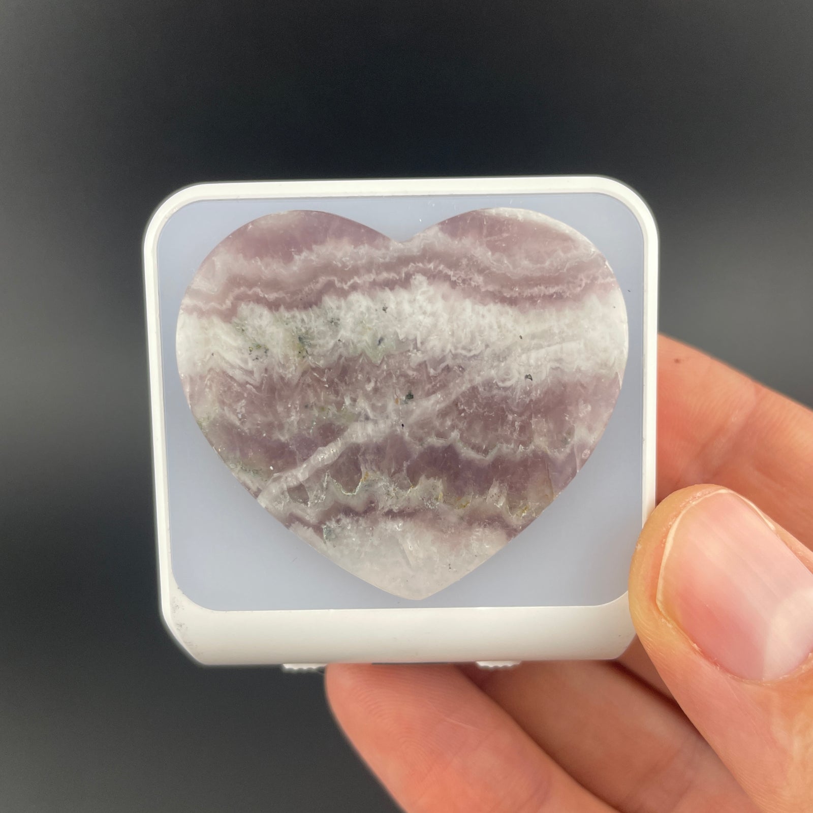 WHOLESALE: Night-Lights: 10 pack