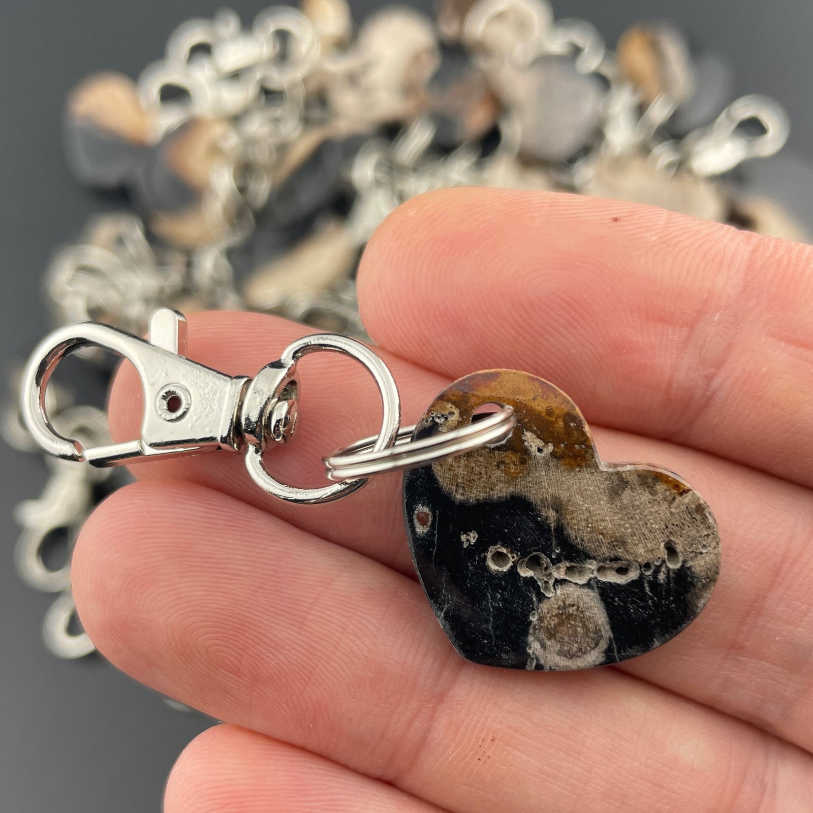 Petrified Wood