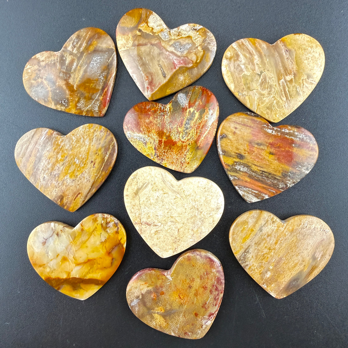 10 Petrified Wood (Seconds)