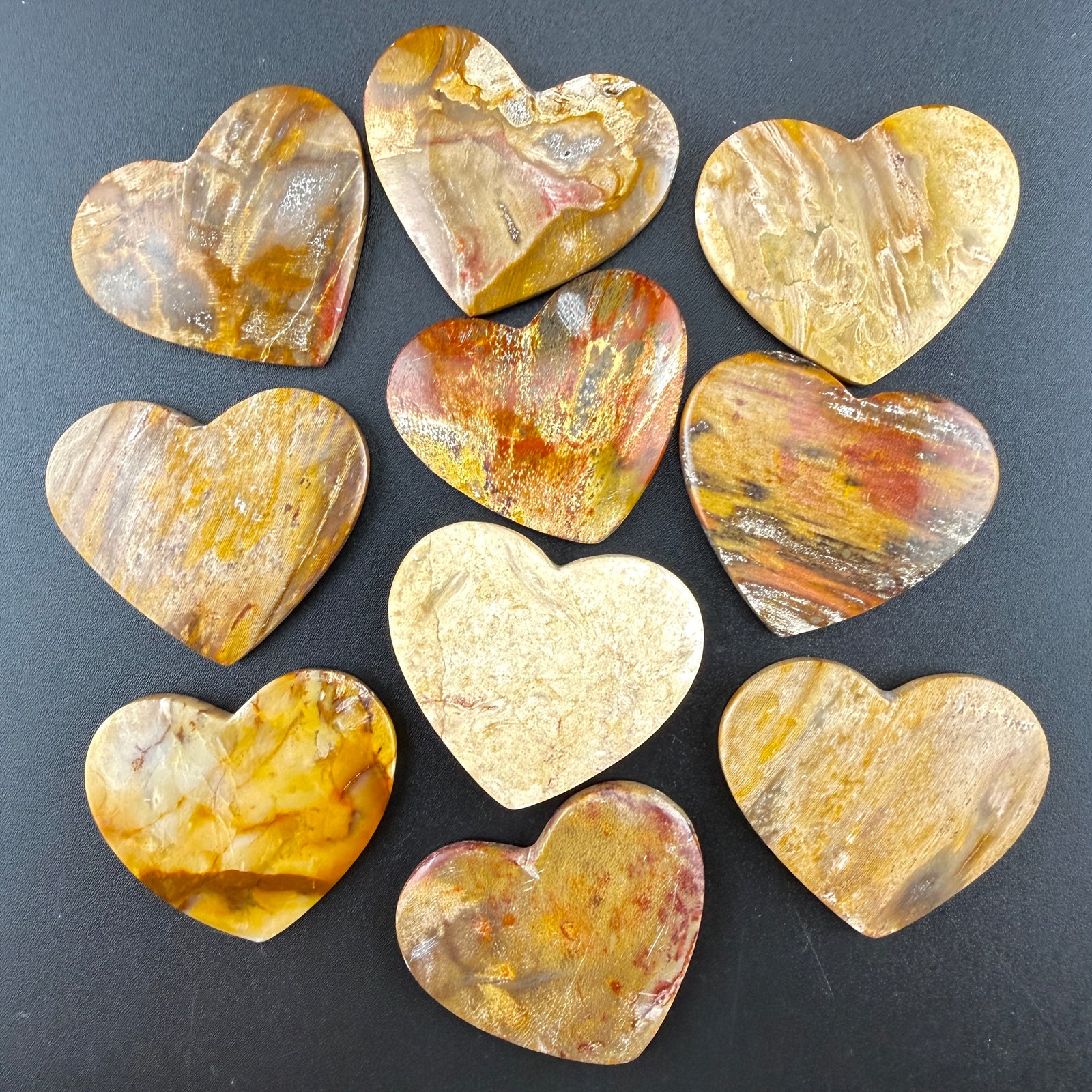 10 Petrified Wood (Seconds)