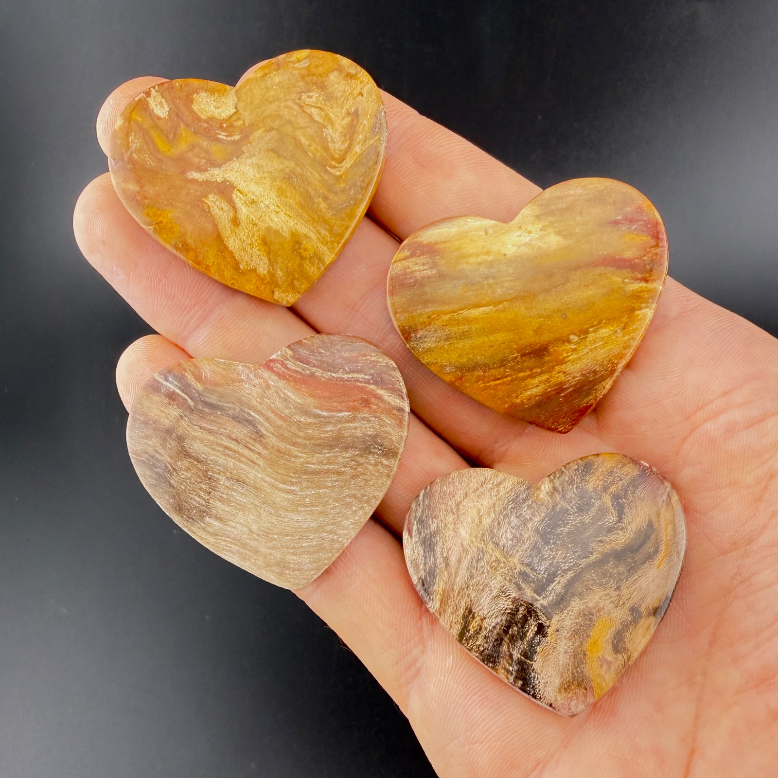 Brown Petrified Wood