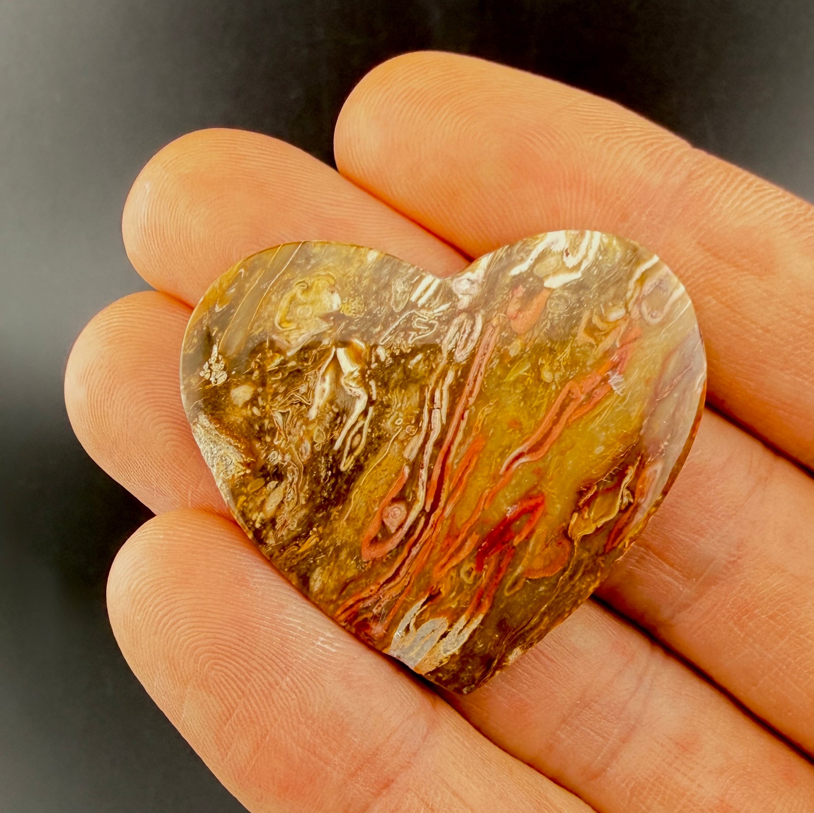 Red Petrified Wood