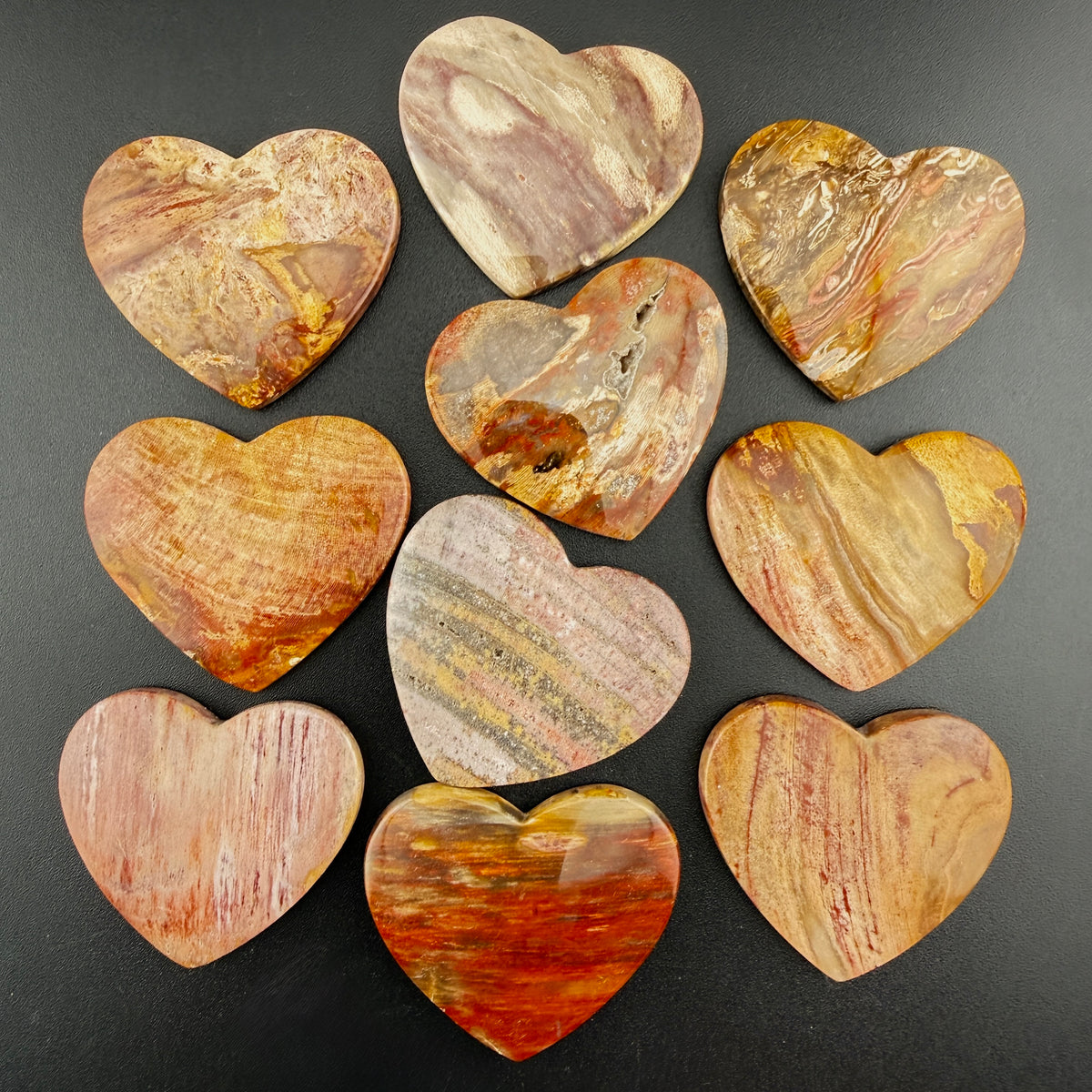 Red Petrified Wood