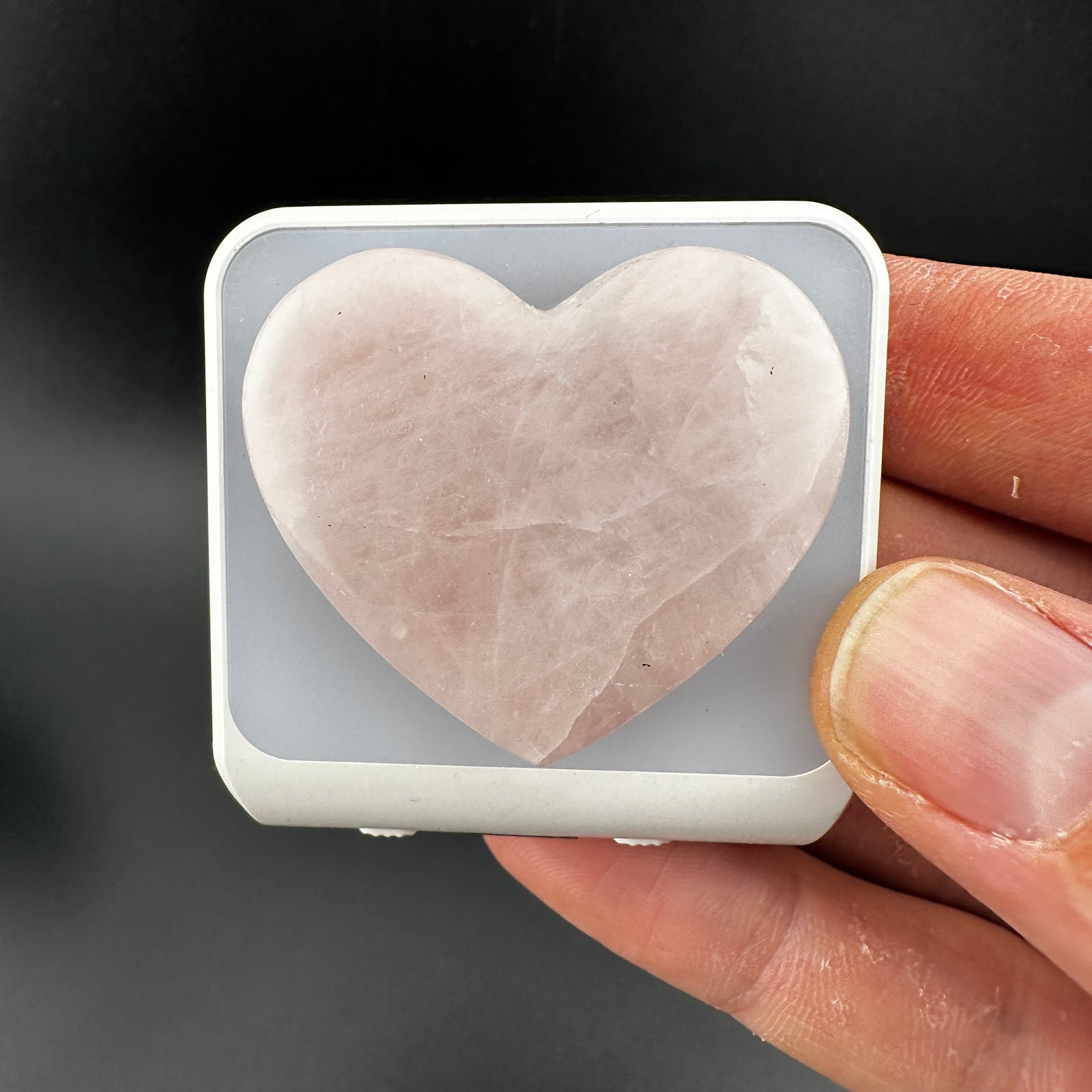 WHOLESALE: Night-Lights: 10 pack