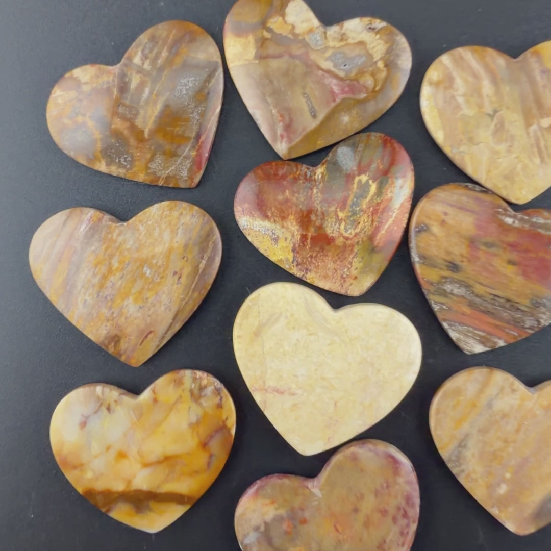 10 Petrified Wood (Seconds)